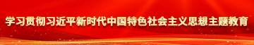 美女被X到爽学习贯彻习近平新时代中国特色社会主义思想主题教育